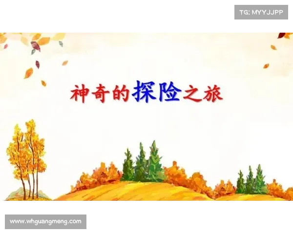 创意网站探索指南：走进无意义奇观的奇妙世界