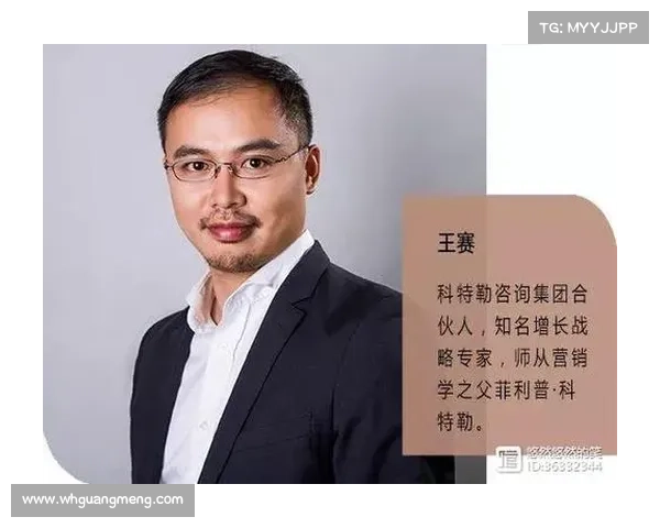 掌握七大关键技巧秘技全面提升个人战绩实现从普通到高手蜕变指南