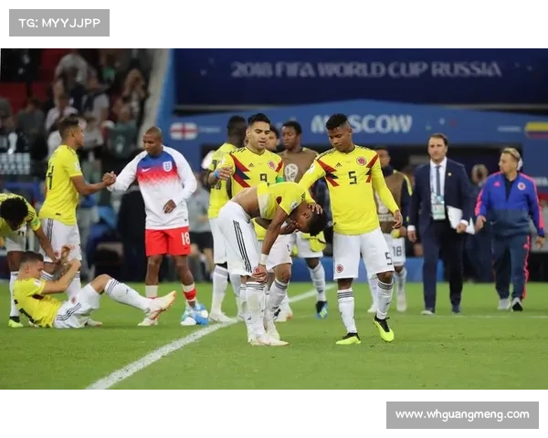 从压迫到反击全面解析阿根廷战胜巴西的战术运筹与关键胜负手