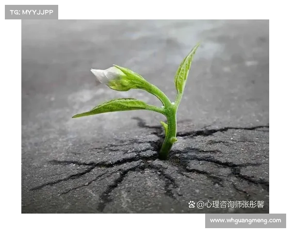 从心理视角探析英格兰在世界大赛屡遭失利的深层原因