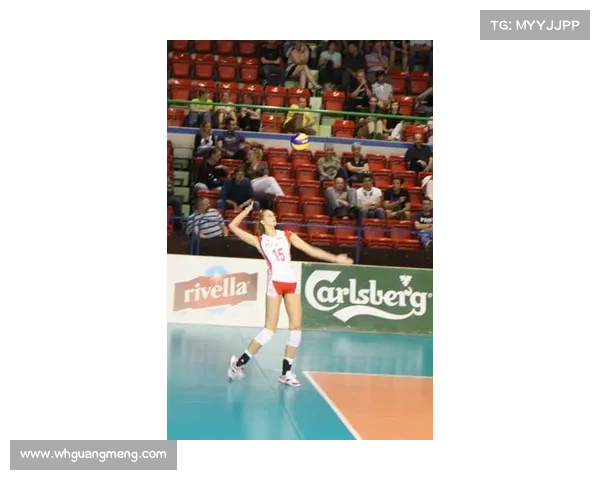 2023年法国对阵波兰比赛结果预测与精彩瞬间回顾