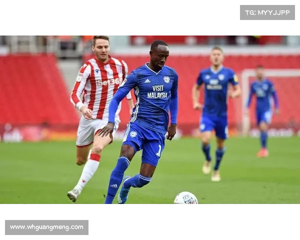 从历史到现在揭秘加的夫城所处英格兰足球联赛级别与竞争格局全解析 从历史到现在揭秘加的夫城所处英格兰足球联赛级别与竞争格局全解析